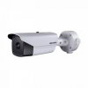DS-2TD2167-7/P