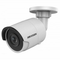 HIKVISION DS-2CD2025FHWD-I (4 mm)